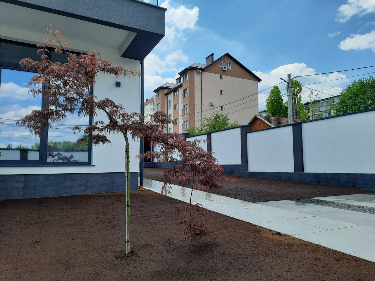 Oferim servicii de semanare a gazonului și instalarea sistemelor de irigare