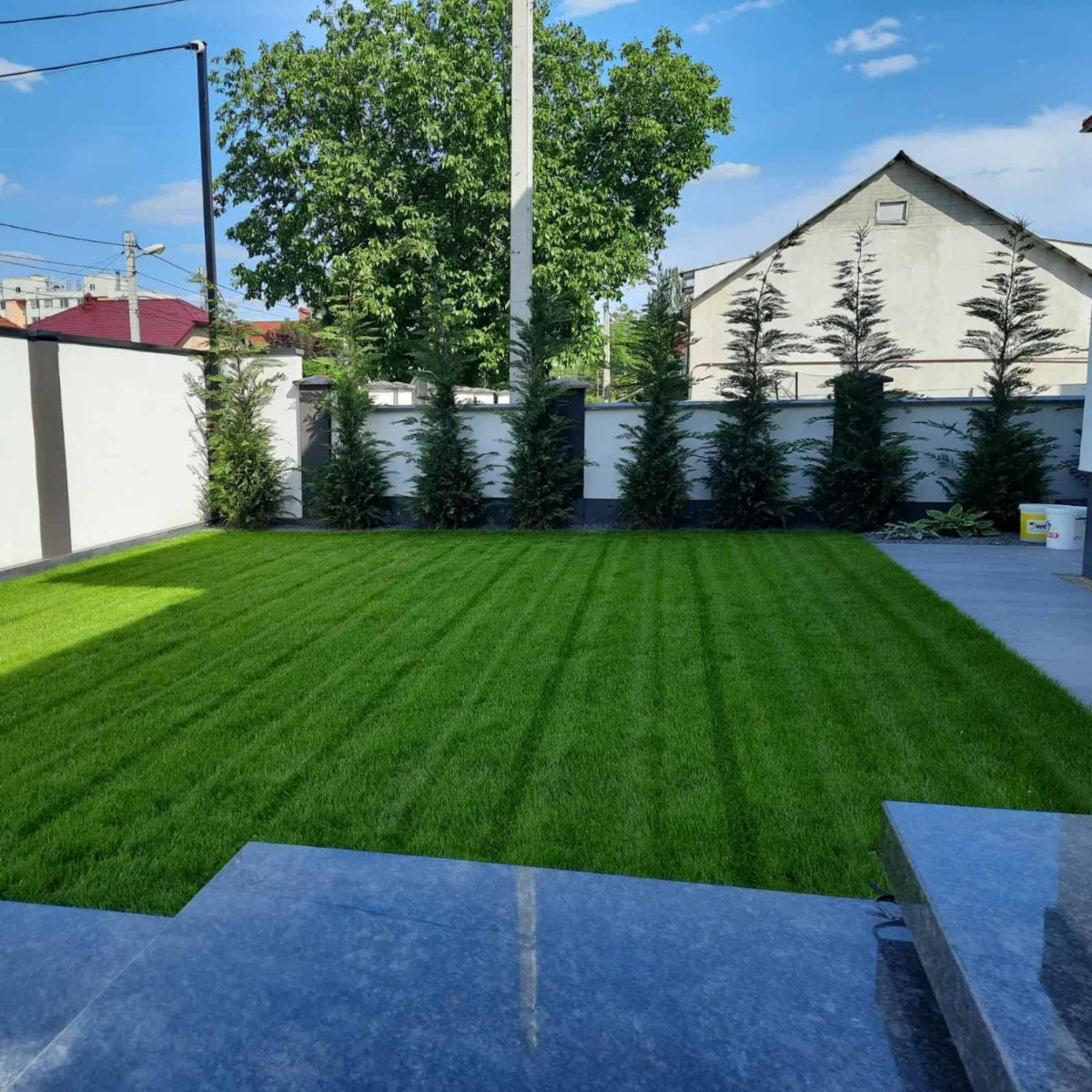 Oferim servicii de semanare a gazonului și instalarea sistemelor de irigare