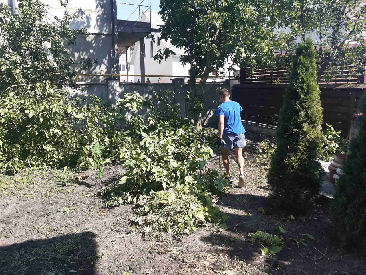 Servicii Profesionale de Curățenie în Grădină