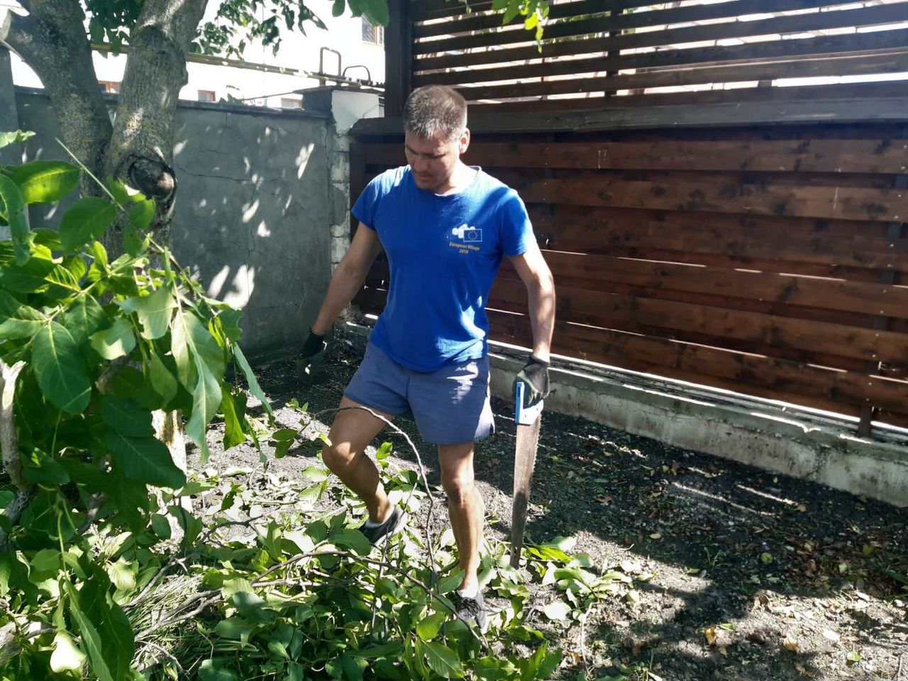 Servicii Profesionale de Curățenie în Grădină