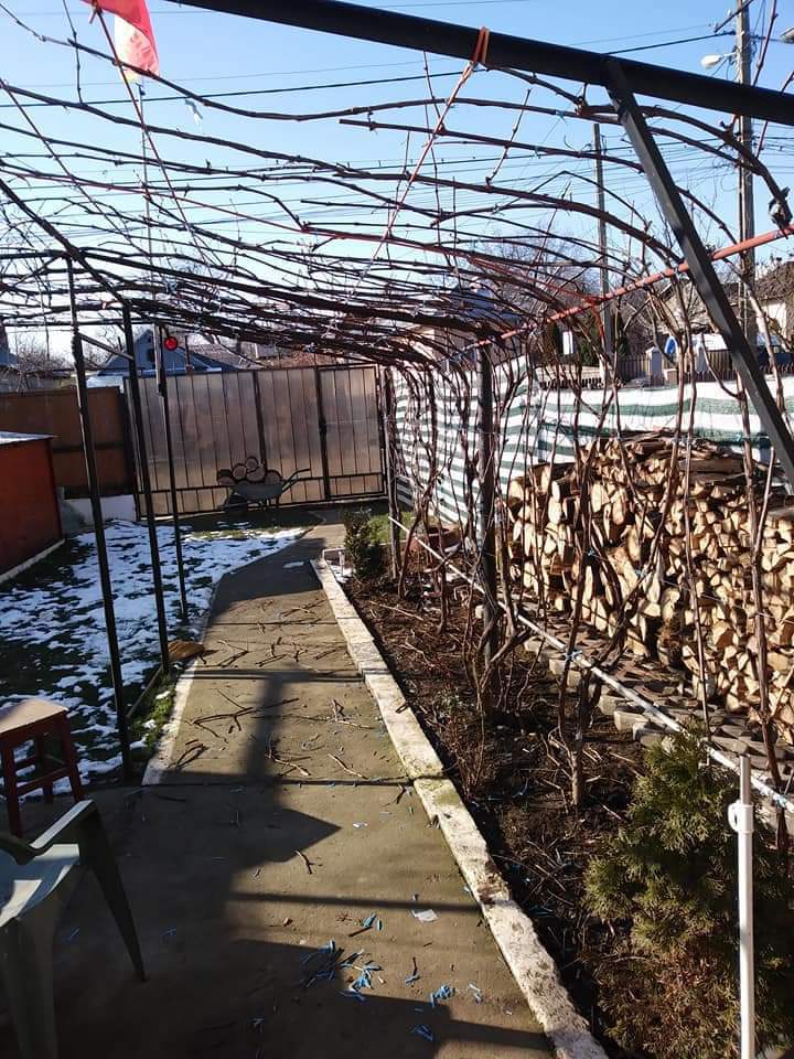 Curăţenie în curtea ta