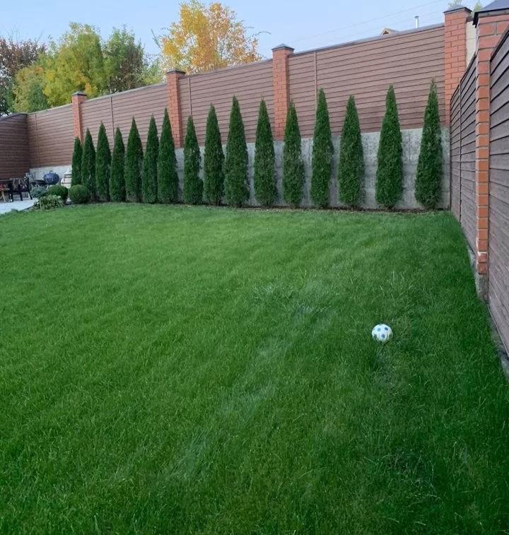 Oferim servicii de semanare a gazonului.Kalitativ