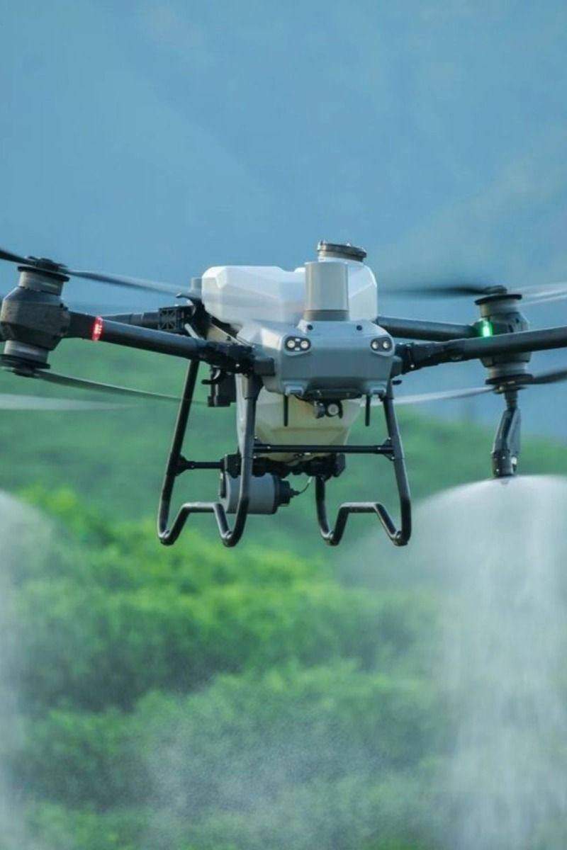 Servicii Profesionale de Stropire a Culturilor Agricole cu Drone Agricole DJI în Moldova!
