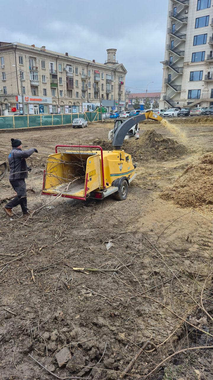 Tocator de crengi și copaci, servicii.