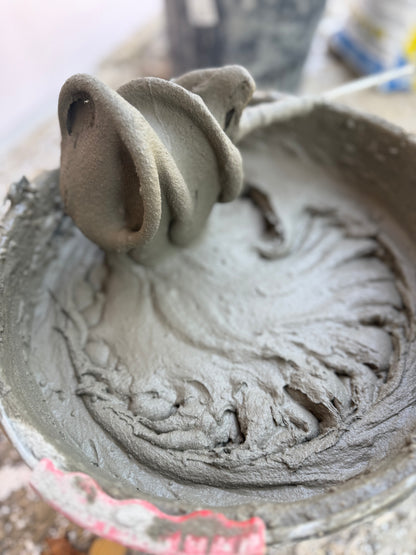 Servicii de demolare si evacuarea deşeurilor