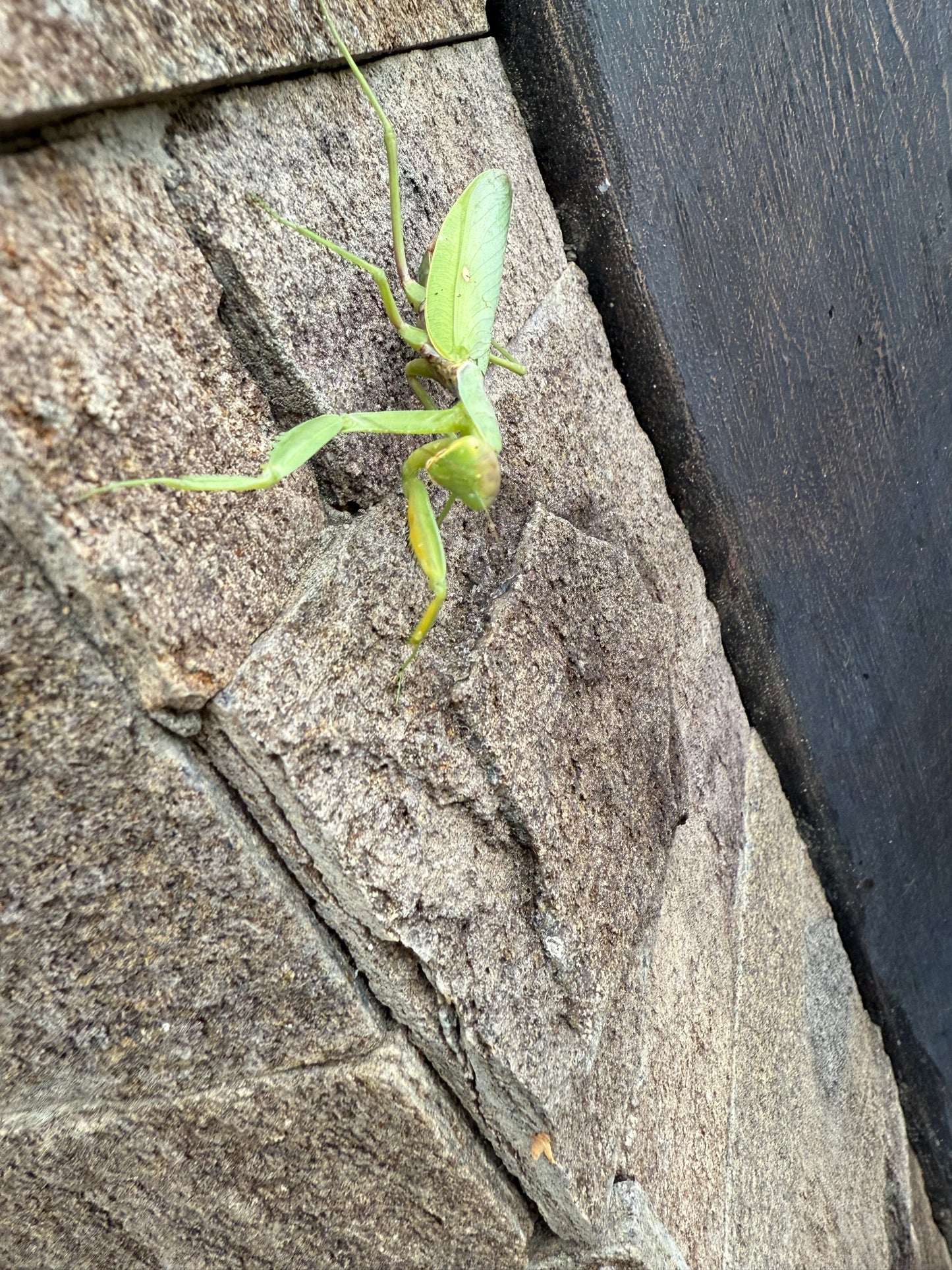 Servicii de demolare si evacuarea deşeurilor